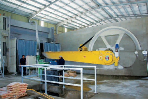 Máy cưa Gangsaw