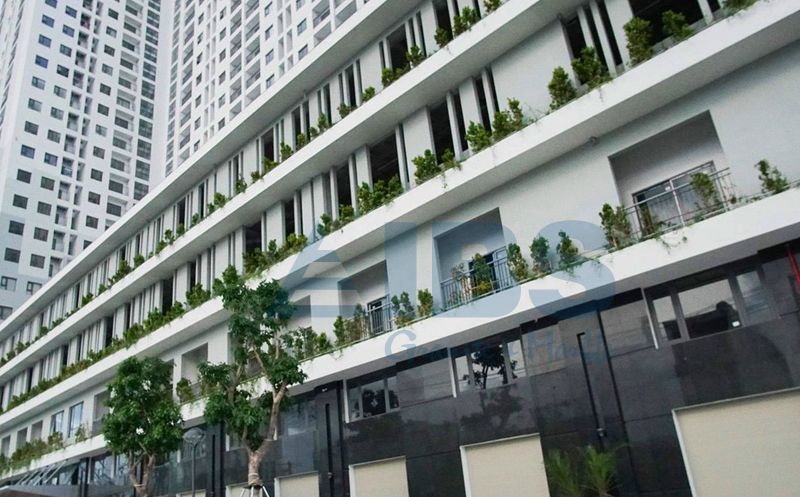 Ecolife Riverside Bình Định